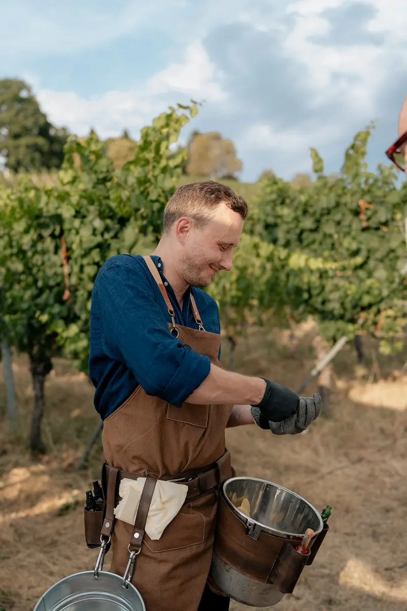 Trained REDEFIN/ED oyster shucker in a vineyard